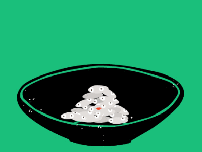 Rice illustration motion design motion graphics