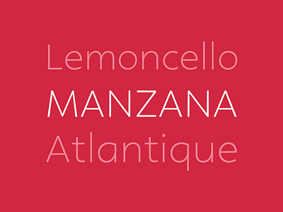 WIP sans font type