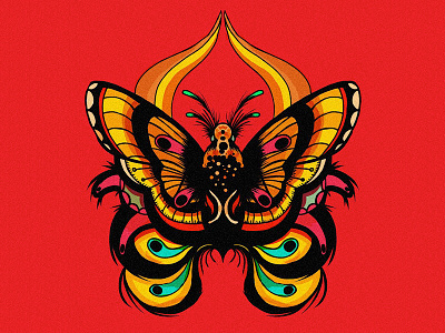 just a butterfly butterfly colorful illustration