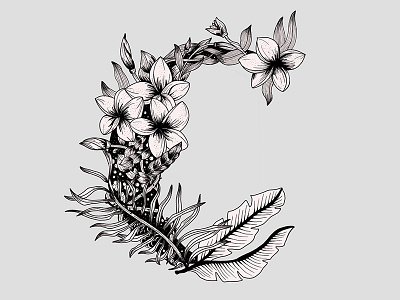 C floral letter illustration lettering