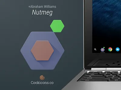 Nutmeg Product Icon icon web component