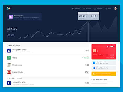 Monzo for Web app bank banking card chart data design graph monzo platform ui web