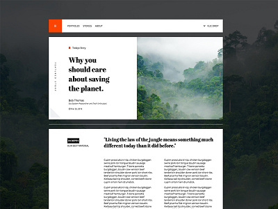 Nature Blog blog design green jungle natural nature news print science simple site