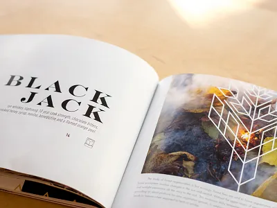 The Blackjack Cocktail cocktail editorial geometric icon leaf lines logo page layout print simple typeography