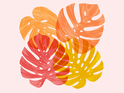 Monstera color illustration monstera palms texture transparent tropical