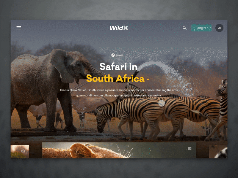 Gallery Transition flinto gallery transition ui web