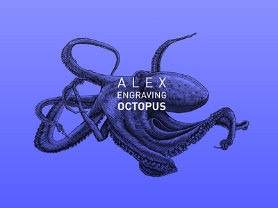 Engraving Octopus branding draw engraving graphic illustration octopus paint print