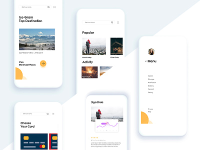 Travel App booking card comment concept continue date detail order payment travel ui ux