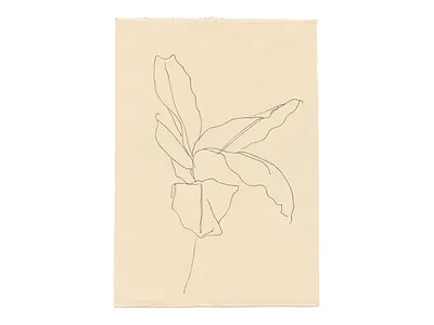 Study 5 branch floral gesture line drawing loose nature organic original plant sketchbook still life study