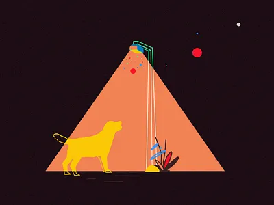 Dog dog illustration light street