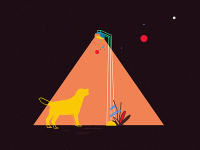 Dog dog illustration light street