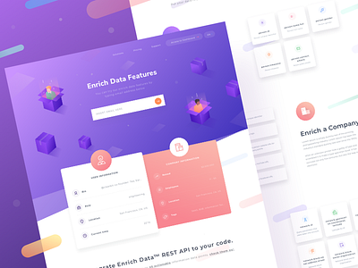 New Landing Page for Enrich Data box case desktop gradient icon illustration isometric landing people study web