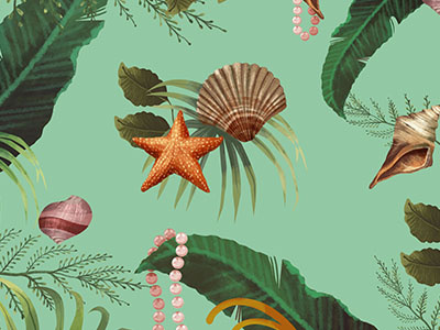 pattern sea nature pattern sea star