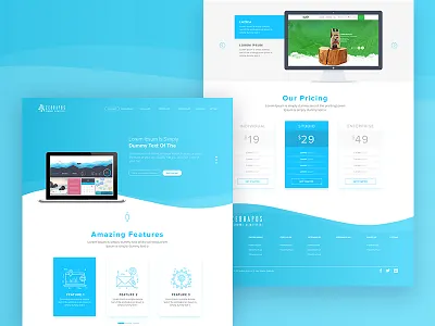 Zebra Pos bank card credit landing page service site site typography web ui ux web