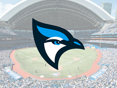 Opening Day baseball bird bluejays jays mlb toronto