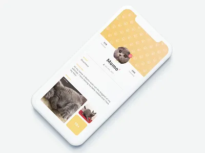 #006 User Profile daily ui design profile ui user profile ux