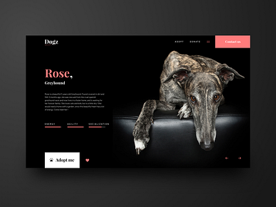 Dog adoption Concept adoption dog dogs rebound rescue dog ui ui design uiux ux design webdesign website