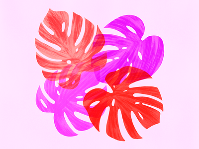 Monstera II botanical bright color illustration leaves monstera palm pink red texture tropical