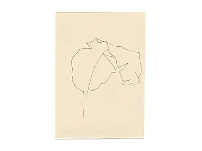 Study 6 / ‘I remember quiet evenings, trembling close to you' drawing icon illustration leaf line line drawing natural nature plant quick sketch sketch white space
