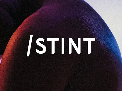 STINT Logo branding logo music musician producer rb