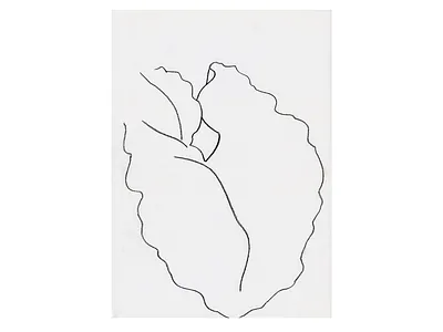 Study 6 charcoal drawing illustration layout leaf line line drawing nature organic white space