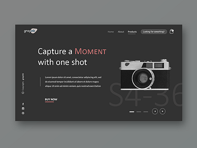 Grayink Gadget Store camera ui ui design ux ux design web design website