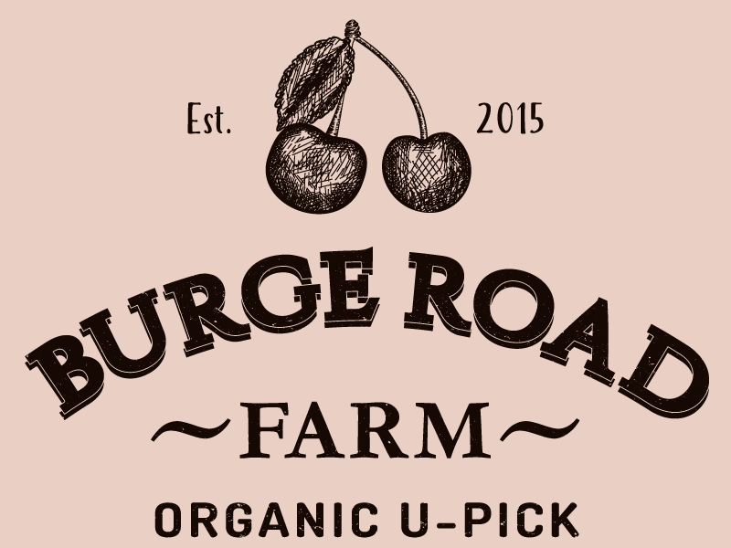 burge road farm cherries drawn farm hand logo organic vintage