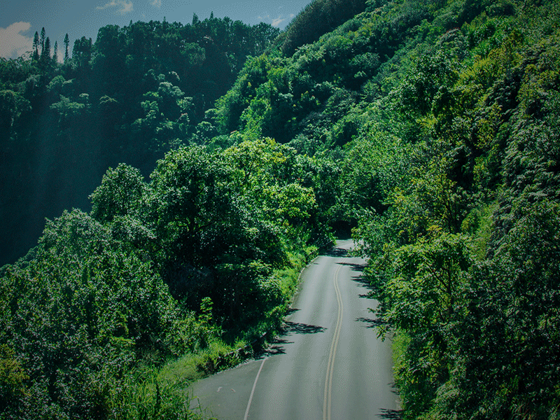 Road To Hana animation hana hawaii honeymoon lettering maui motion design road trip vacation