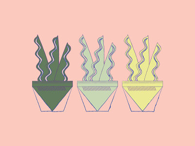 Spring plants pots spring succulent