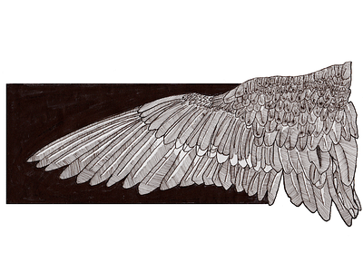 Wing illustration photoshop