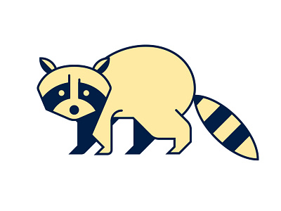 Raccoon animal canada raccoon vector