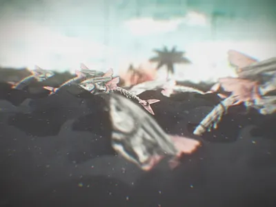 Dead fishes animation collage dead fish naive oil sea skeleton