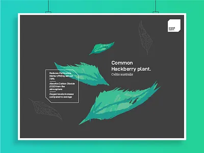 Poster for a sustainable air purifier start-up firm branding design earth earthy graphics illustration logo nature poster rough sustainable visual language