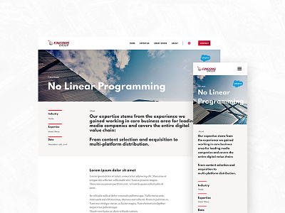 Fincons - Case Study case study flat gradient red responsive tech ui ux webdesign website