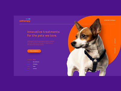 Projeto web Vetherapy design interaction interface ui ux