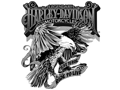 Harley Davidson T Shirt design eagle illustration lettering t shirt