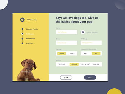 dog details dog ui ui design