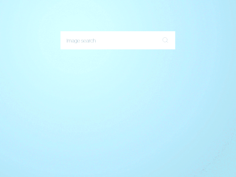 Daily UI #022 dailyui image search search ui