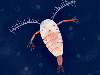 Copepod - Day 1 copepod deep sea creature illustration microorganism ocean texture the100dayproject