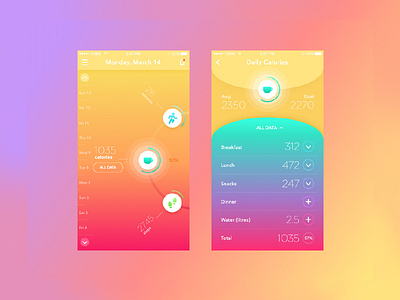 daily calorie app design