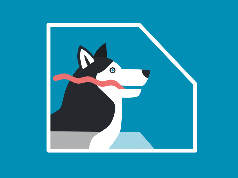 Husky Arty after effects animation car dog fun gif illustration instagram