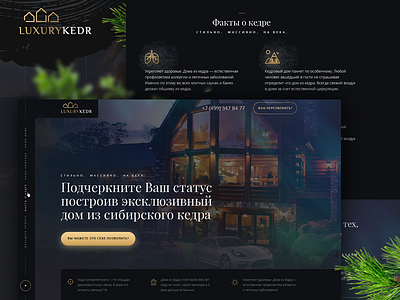 Luxury Kedr - Landing Page buildings clean creative dark house landing landing page luxury onepage ui ux wood