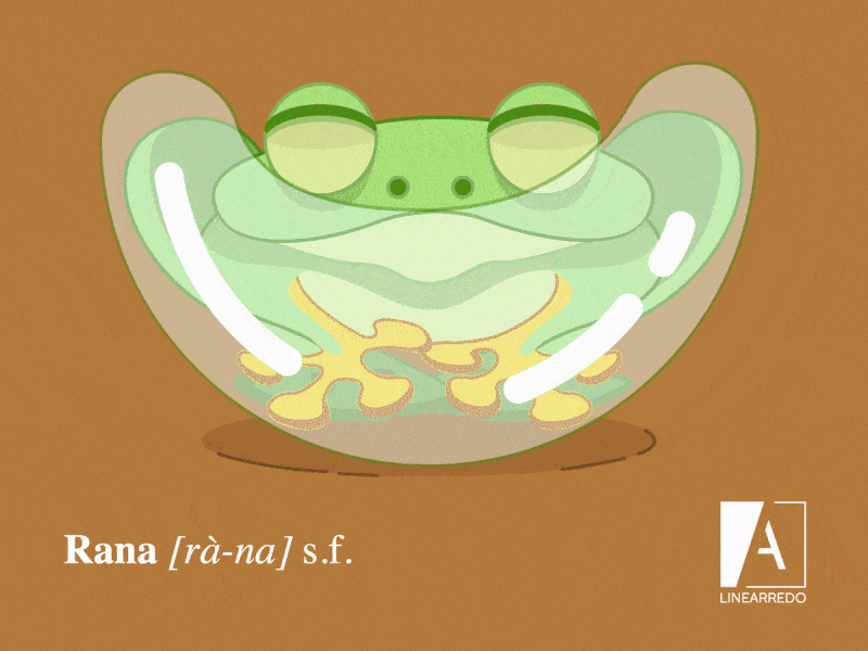 Sleeping frog animal animals cute frog relax sleep sleeping sweet