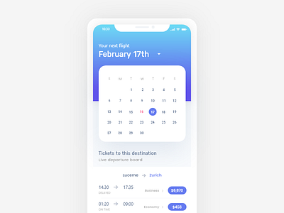 Ticket App calendar clean ui concept flight app flight concept ticket app ticket concept