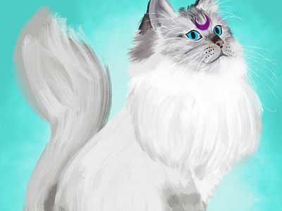 Purple moon Macha cat illustration procreate