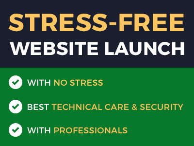 Launch Your website under best technical care software web web development