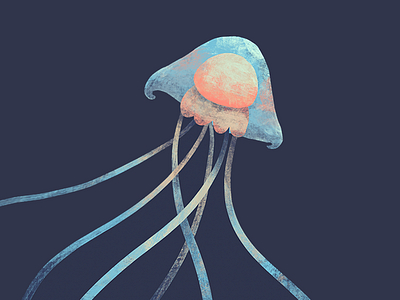 Jellyfish