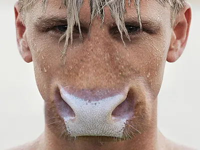 Cowboy animal cow cowboy edit man mix photoshop