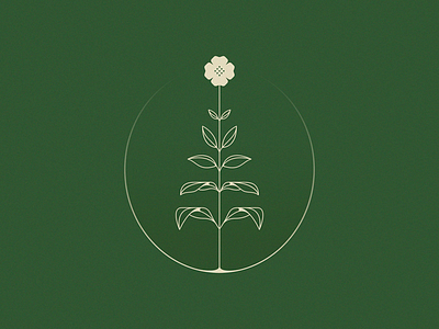 Apothecary apothecary flower logo mark natural plant