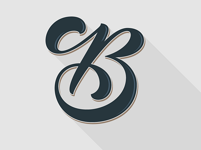 B 36 days of type alphabet b hand lettering lettering letters type typography